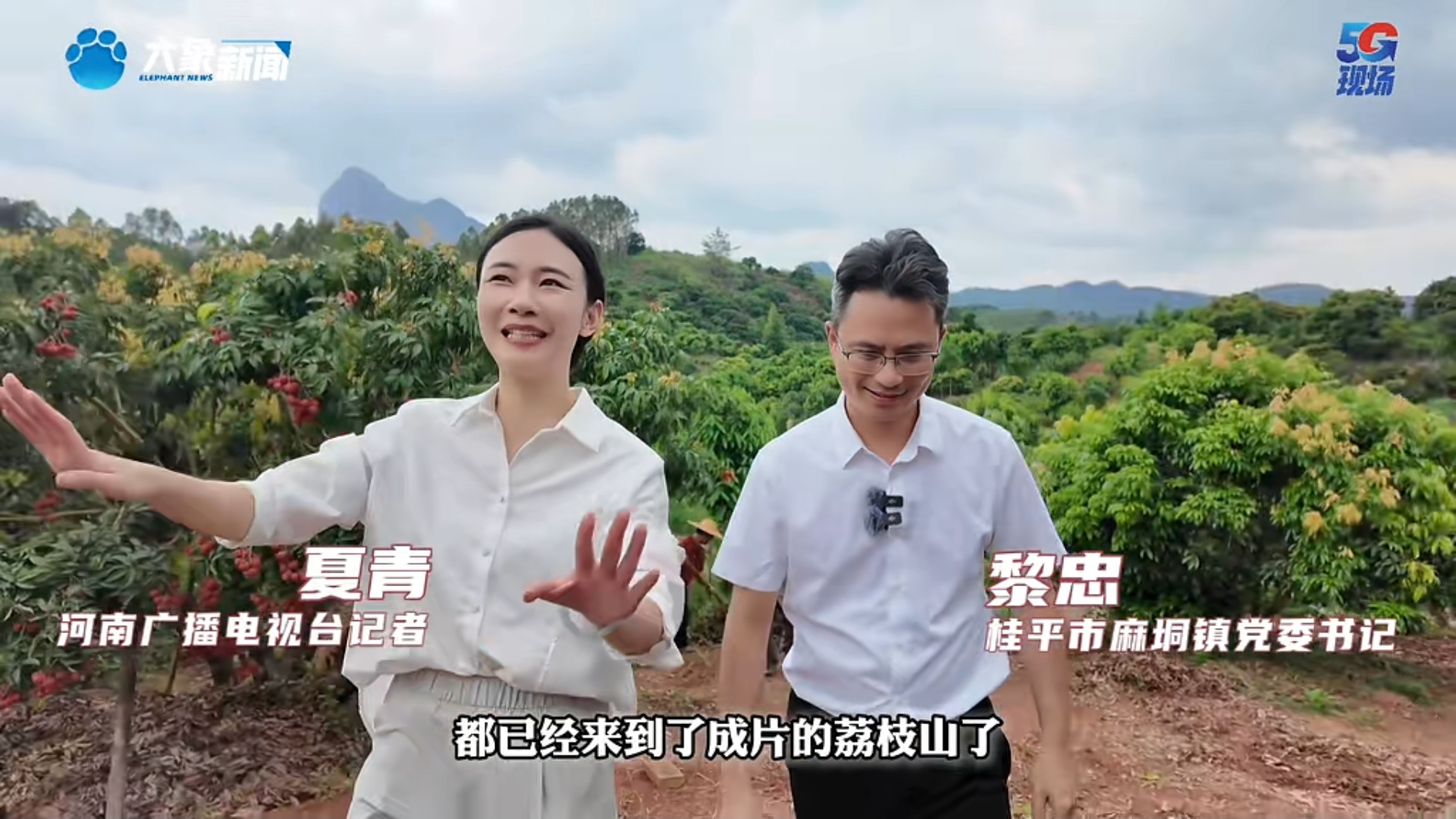 河南台打卡麻垌 (1).png 河南台打卡麻垌 (1).png